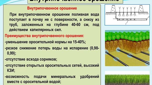 СПОСОБЫ ОРОШЕНИЯ И ТЕХНИКА ПОЛИВА