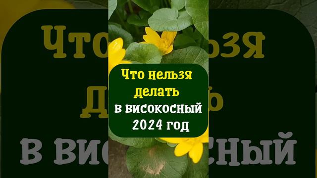 Что нельзя делать в високосный 2024 год зеленого деревянного Дракона