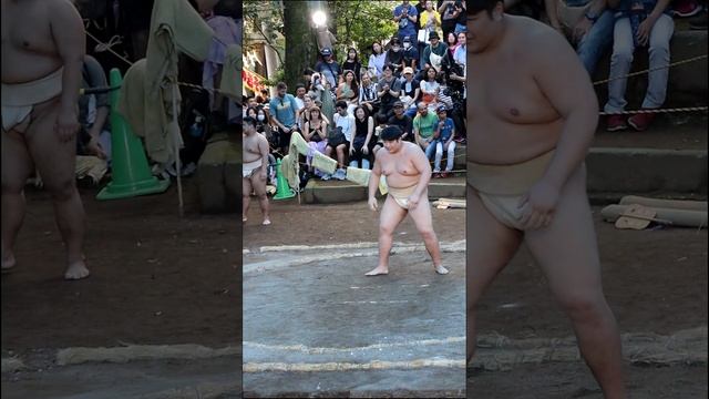 Поединок сумо в Японии #япония #токио #жизньвяпонии #японцы #сумо #японскаякультура #сумоист #борьба