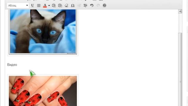 HTML редактор WordPress | Курс по созданию сайта