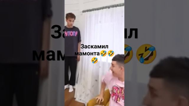 А4 ЗАСКМИЛ МАМОНТА🤣🤣🤣