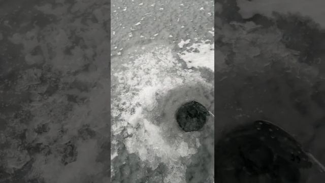 Зимняя рыбалка на веселовском водохранилище 2018год смотреть онлайн