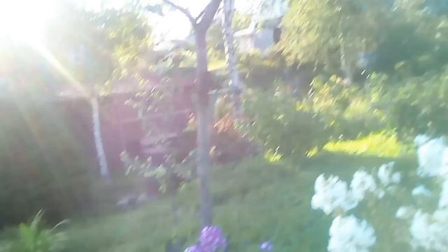 Моя Дача смотреть онлайн