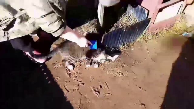 ДЕЛА ДАЧНЫЕ. Засыпаю дорогу. .ЩЕПА из дерева Огород весной