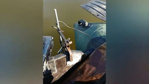 Правильная струбцина для эхолота