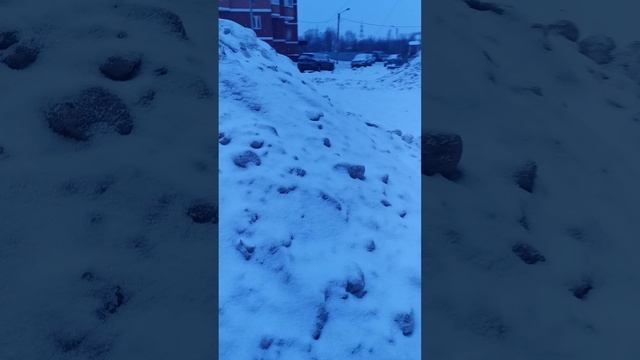 Огромные горы снега. Huge mountains of snow. #снег #снежныегоры #тверь #русскаязима #горы #снегопад