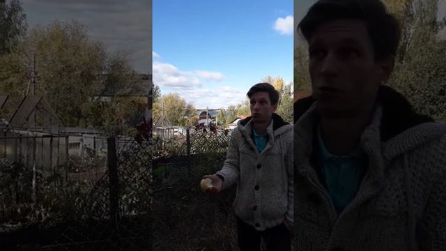 Участок земли на берегу волги. смотреть онлайн