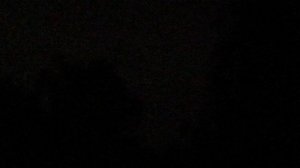 Ночной пейзаж. Луна и дерево