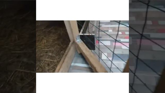 114.Моё рукоделие. Кормление курочек. Баня. смотреть онлайн