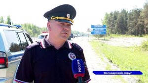 Аварии с участием лосей участились в Нижегородской области