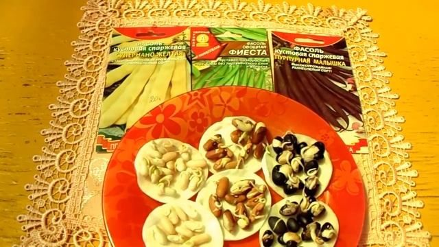 Фасоль спаржевая Очень вкусное и полезное растение смотреть онлайн