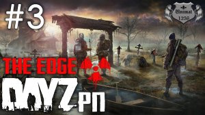 S.T.A.L.K.E.R. The EDGE | DayZ RP | Рейд за артефактами #3