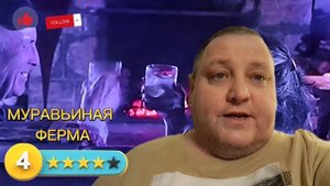 МУРАВЬИННАЯ ФЕРМА