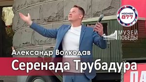 "Серенада Трубадура" Александр Волкодав - Музей Победы, Поклонная гора, Москва, День города 7.09.24