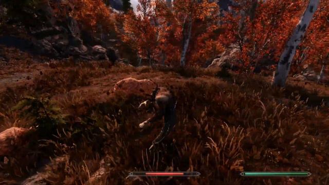 Araelas - Druid Archer - Chapter 1 - Ep. 8 - Bthalft смотреть онлайн