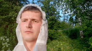 продолжаю наводить порядок _ старый погреб _ липа _ граница участка