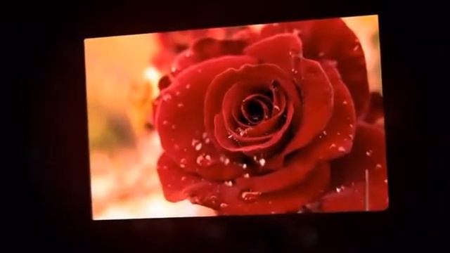 Не бывает счастья много Стихи Ольга Мельничук , муз и исп Самуил Фрумович смотреть онлайн