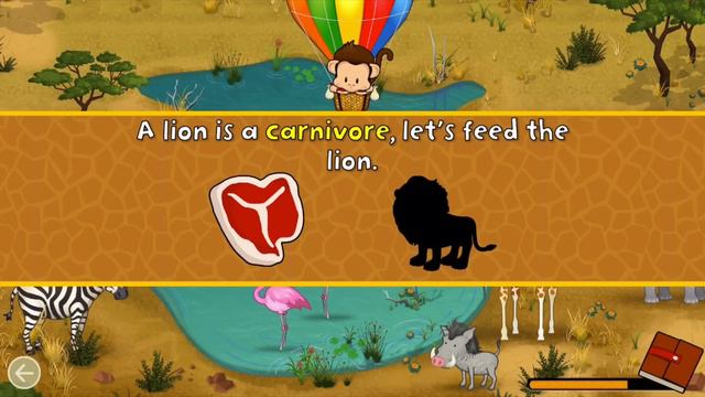 Monkey Preschool Animals