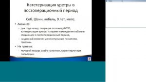 Вебинар на тему: "Катетеризация уретры". Лектор - Екатерина Андреева