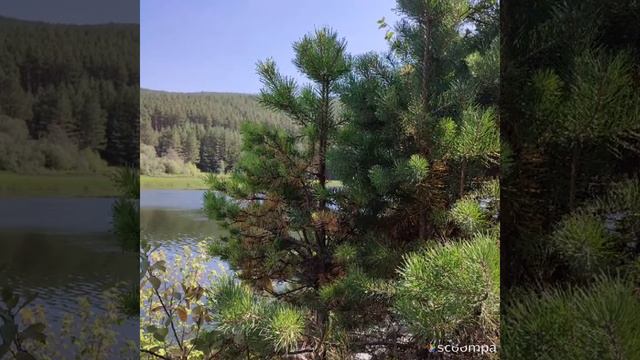 река Белая 2022 смотреть онлайн