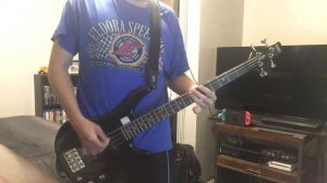 Screeching Weasel - "We Are The Generation X" Bass Cover