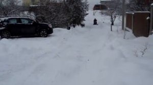 Проезд через заболоченный участок на снегоходе Пегас.4439