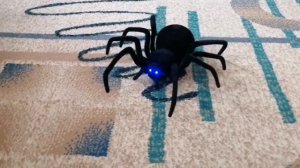 Black Widow нашествие Пауков Чёрной Вдовы | Атака паука чёрной вдовы| Паук на радиоуправление обзор