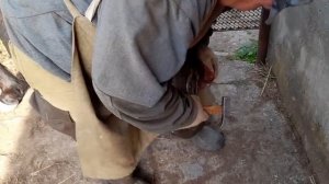 ковка коня для начинающих