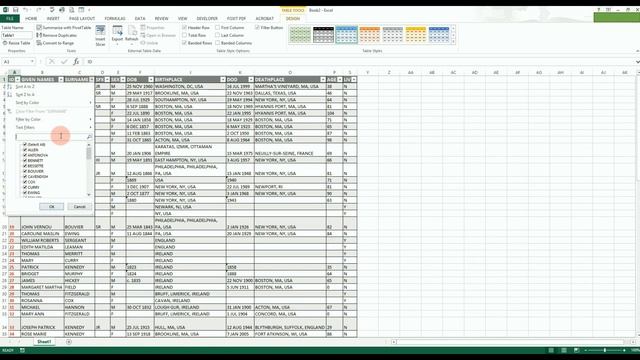 Family TreeXcel - Create, Organize, and Display your family tree and ancestry data using Excel & VB