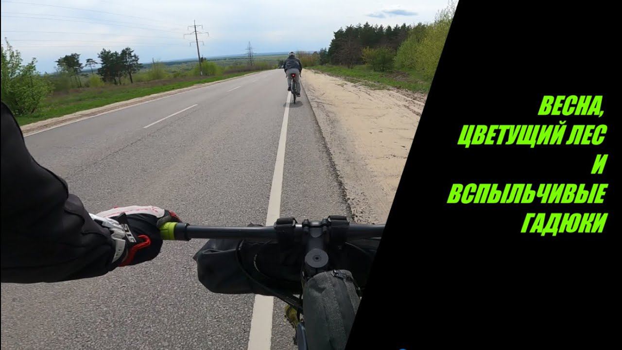 Первые испытания SHULZ LONE RANGER: весна, цветущий лес и вспыльчивые гадюки!