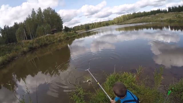 Осенняя щука в Подмосковье смотреть онлайн