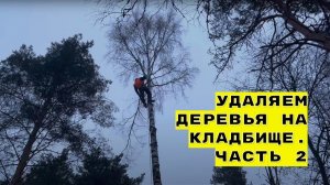 Удаляем деревья на кладбище. Часть 2