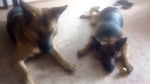 Когда ты - жадина.