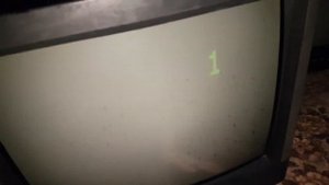 Samsung cw-5314x обзор