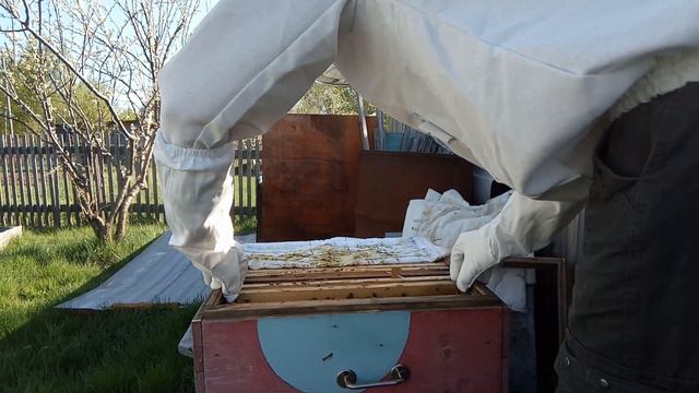 Работа на пасеке № 2 3 Расширение сушью, проверка состояния семей 09 19 05 2020 Хабаровский край Пч смотреть онлайн