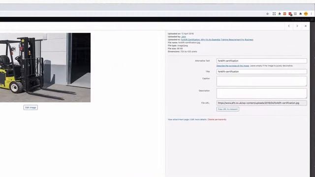 Image Alt Tags: How To Add Images Alt Text To Images In Wordpress смотреть онлайн
