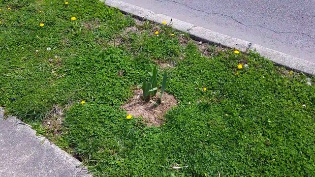 3 shades of Lavender! смотреть онлайн