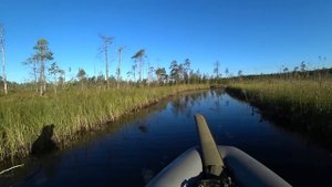 ОХОТА НА УТОК / УДАЧНОЕ УТРО / Открытие охоты на водоплавающую дичь 2022 / Охота в КАРЕЛИИ