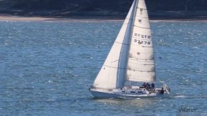 Sailboats racing in crowded river. Two sailboats collide breaking main sail mast - River Watch 006