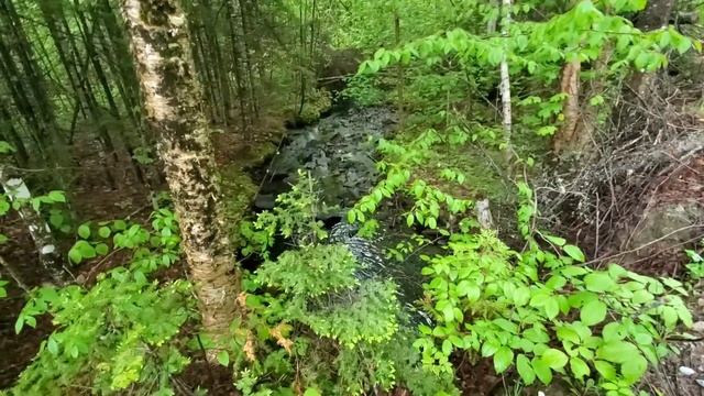 Unclogging Memorial Day, Holiday Weekend Of Lots Of Clogs смотреть онлайн