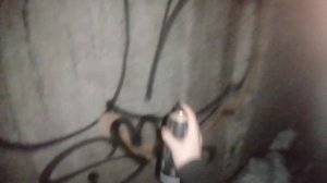 Поймала охрана за граффити