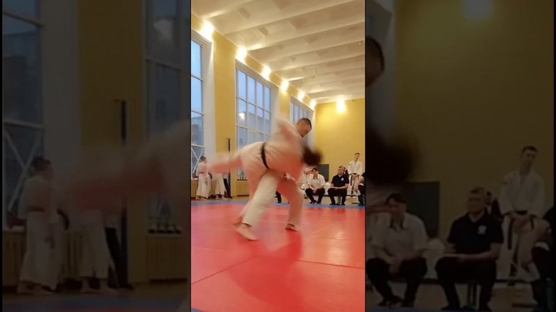 Айкидо – это полет импровизаций… «Кубок Чемпионов 2023» #shorts  #aikido #youtube #martialart #like