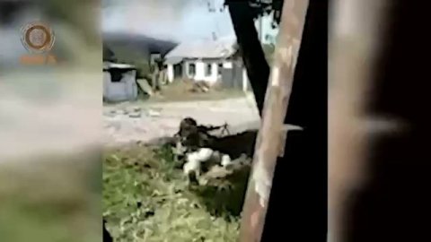 Война на Украине