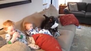 Стафф и дети..Нянька