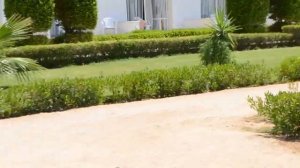 Египет отель siva   пляж   скрытая камера