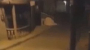 ТОП 5 САМЫХ МИСТИЧЕСКИХ ВИДЕО СНЯТЫХ НА КАМЕРУ \ ЛЕСНОЙ МОНСТР