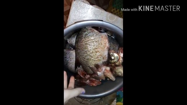 Влог))) смотреть онлайн