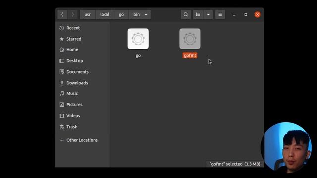 Go Workspace & Runtime Explained in 5 Minutes