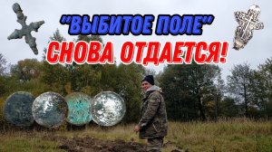 Коп монет. ШИКАРНЫЕ НАХОДКИ на выбитом поле!