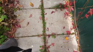 Обзор и тестирование воздуходувки и садового пылесоса Gardena